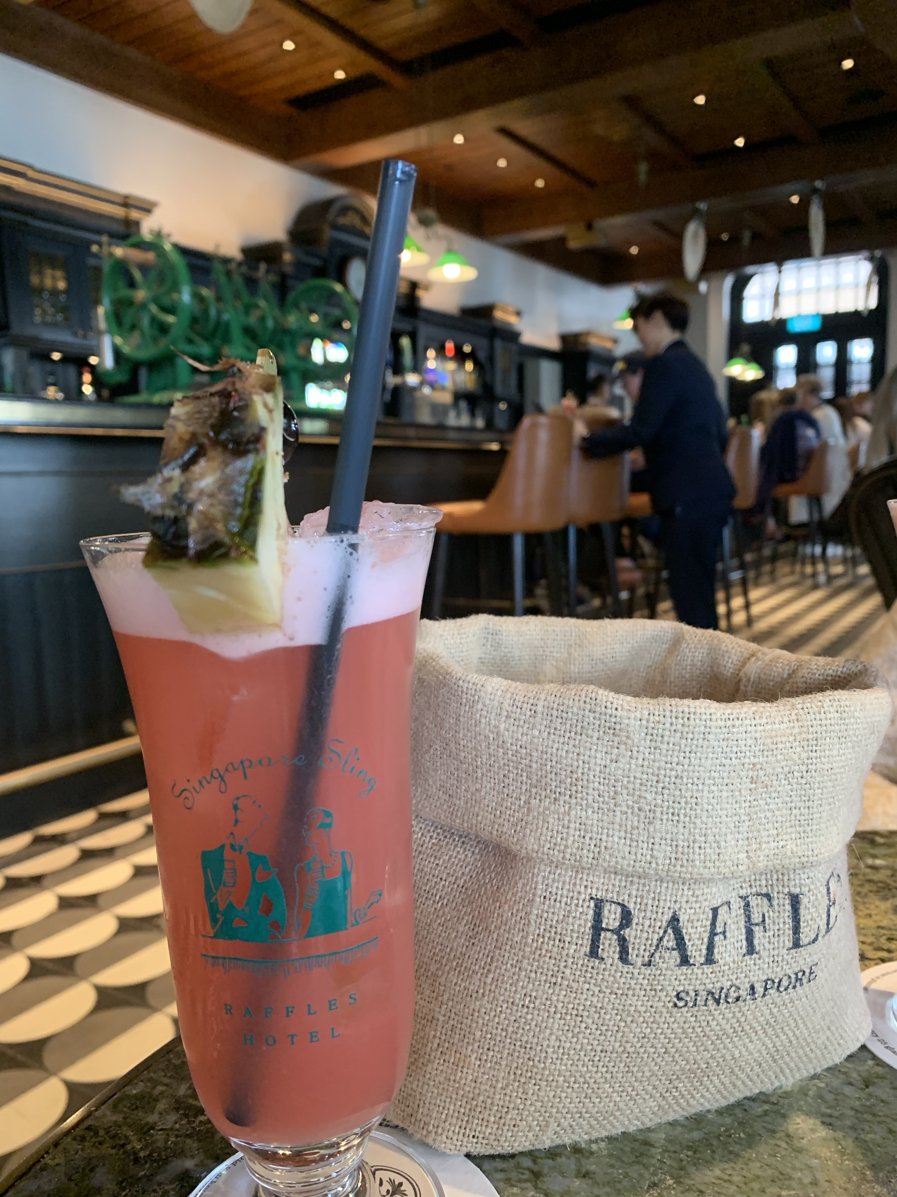 Slinging in Singapore – Work Travel Save Repeat